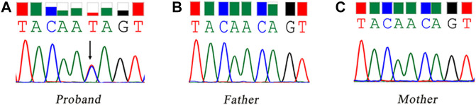 FIGURE 1