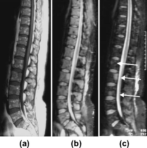 Fig. 9