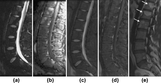 Fig. 7