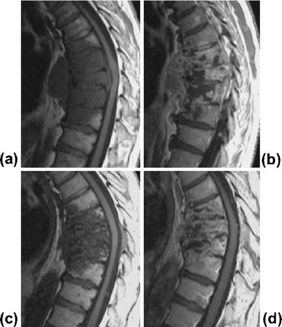 Fig. 6