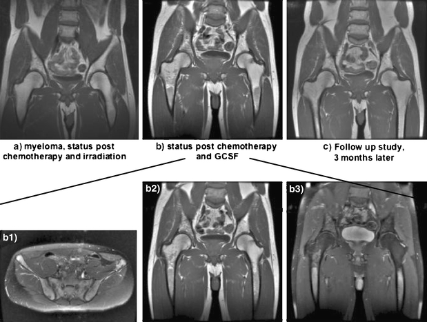 Fig. 8