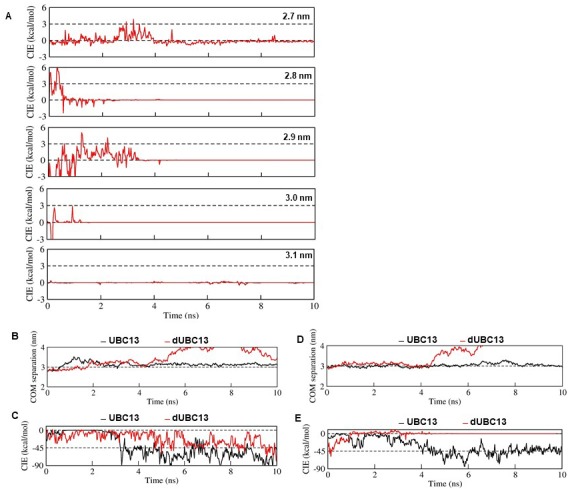 Figure 6—figure supplement 1.