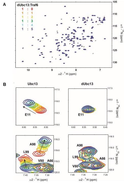 Figure 1—figure supplement 3.