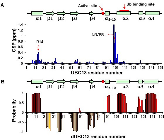 Figure 1—figure supplement 2.