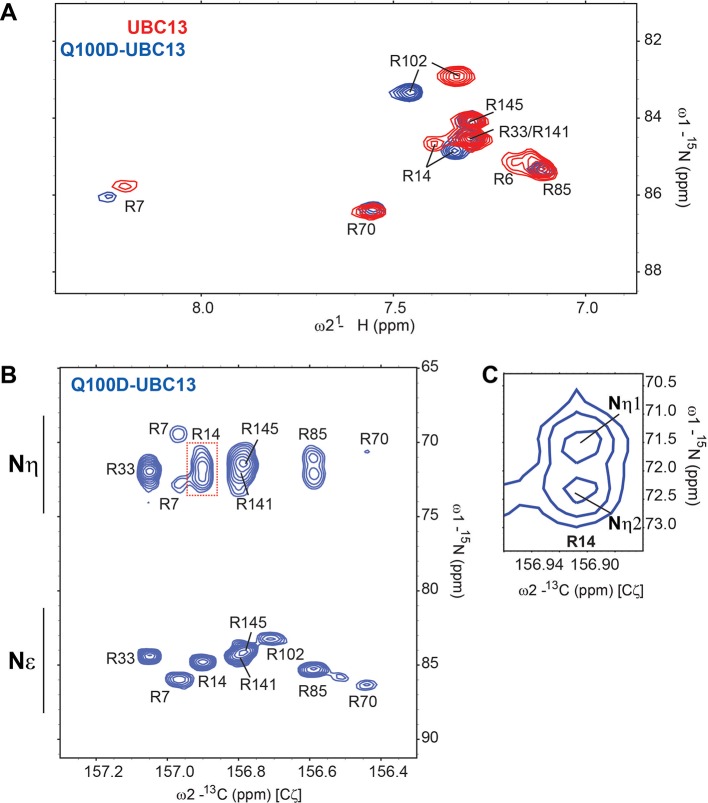 Figure 2—figure supplement 1.