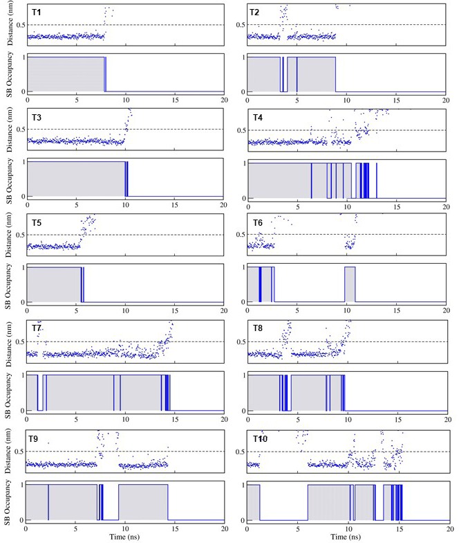 Figure 4—figure supplement 1.