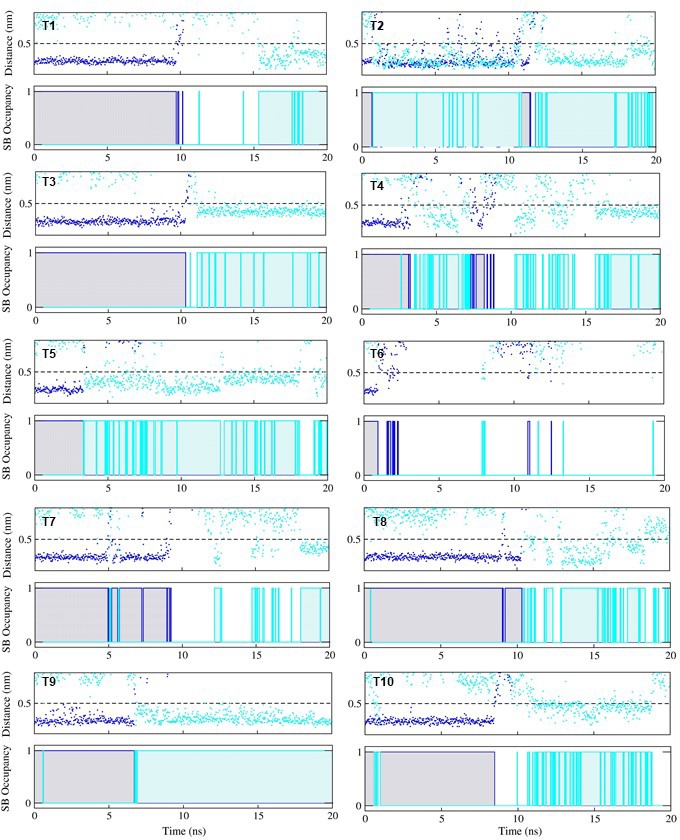 Figure 4—figure supplement 2.