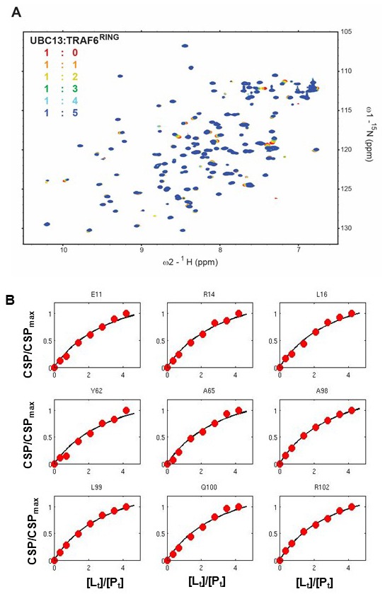 Figure 1—figure supplement 1.