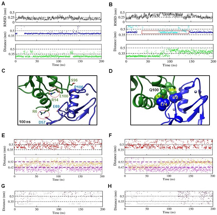 Figure 2—figure supplement 2.