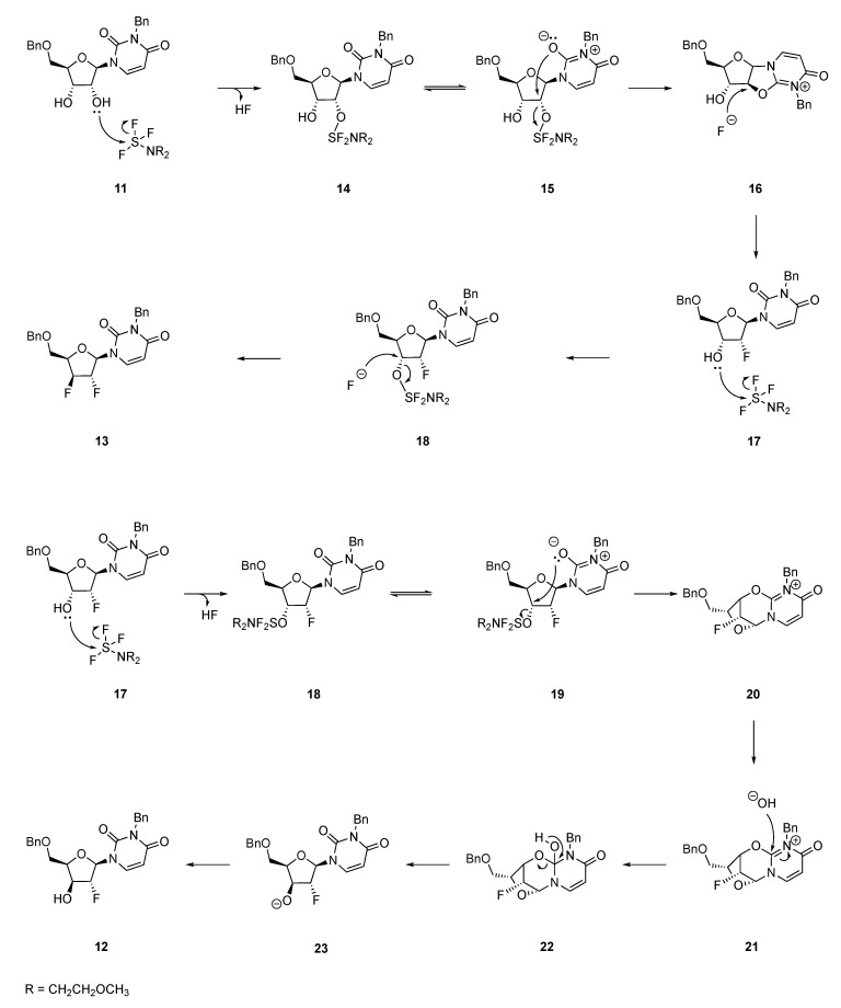 Scheme 3