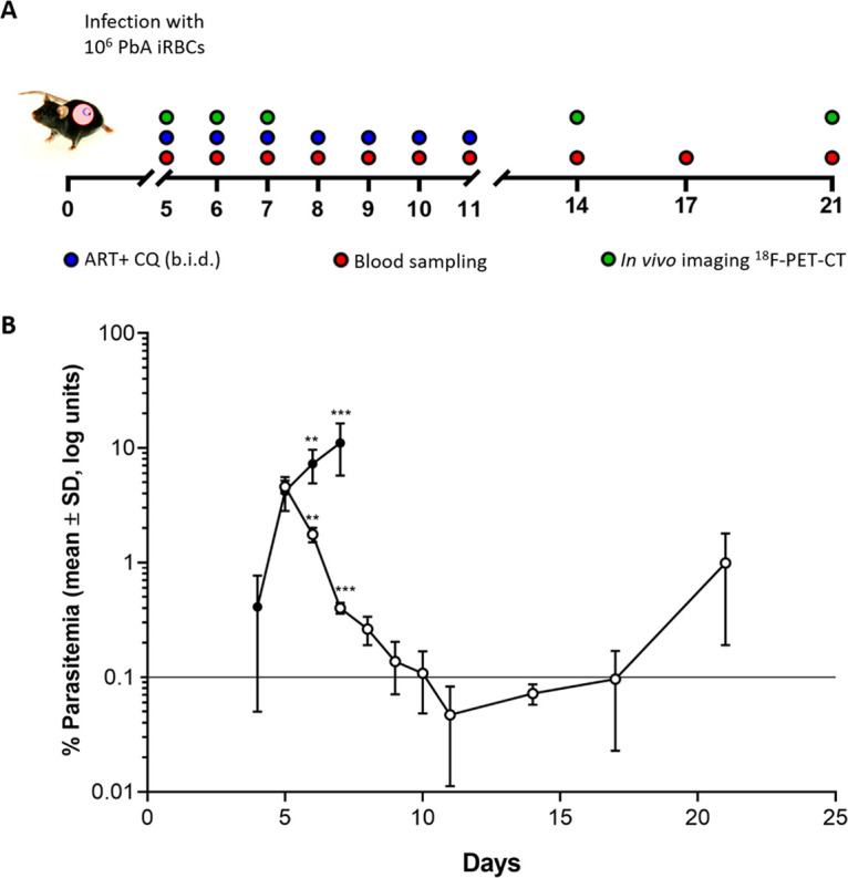 FIG 1