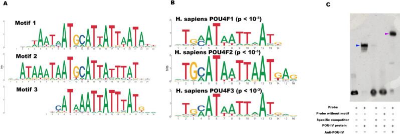 Figure 7.