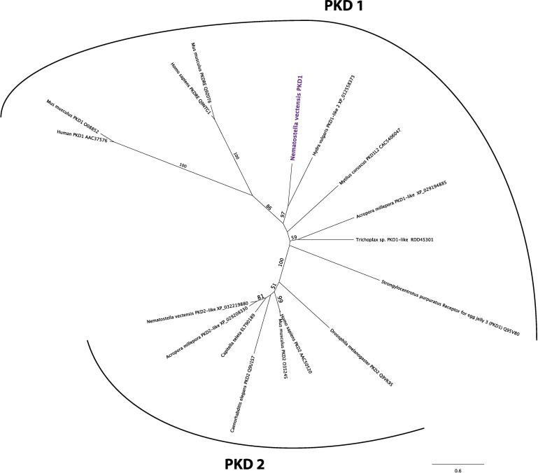 Figure 8—figure supplement 2.