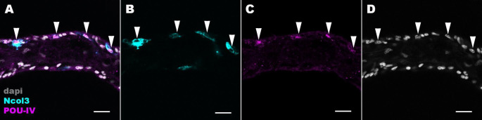 Figure 2—figure supplement 2.