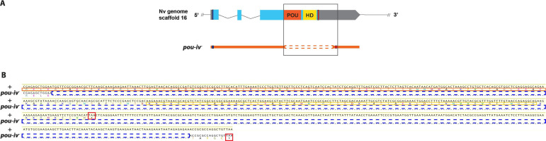 Figure 3—figure supplement 2.