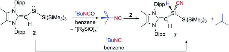 Scheme 4