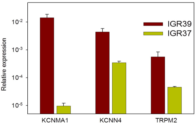 Figure 10