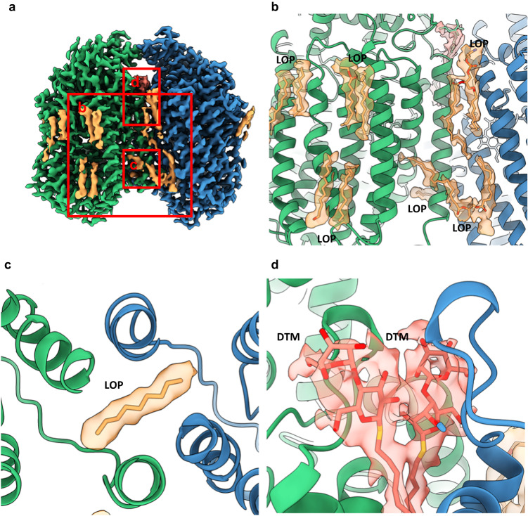 Fig. 7