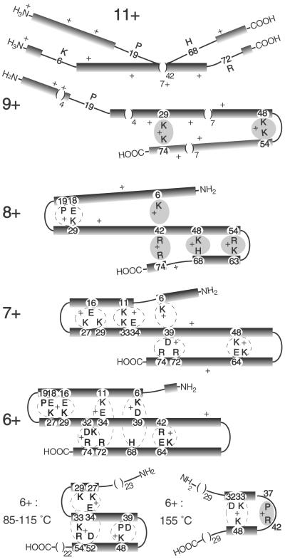 Fig 2.