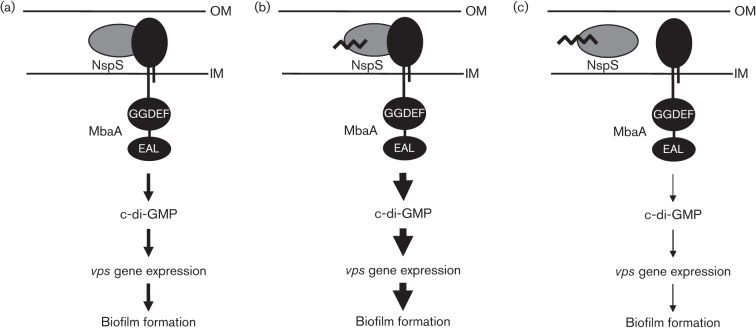 Fig. 1. 