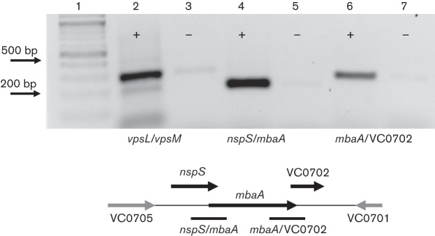 Fig. 3. 