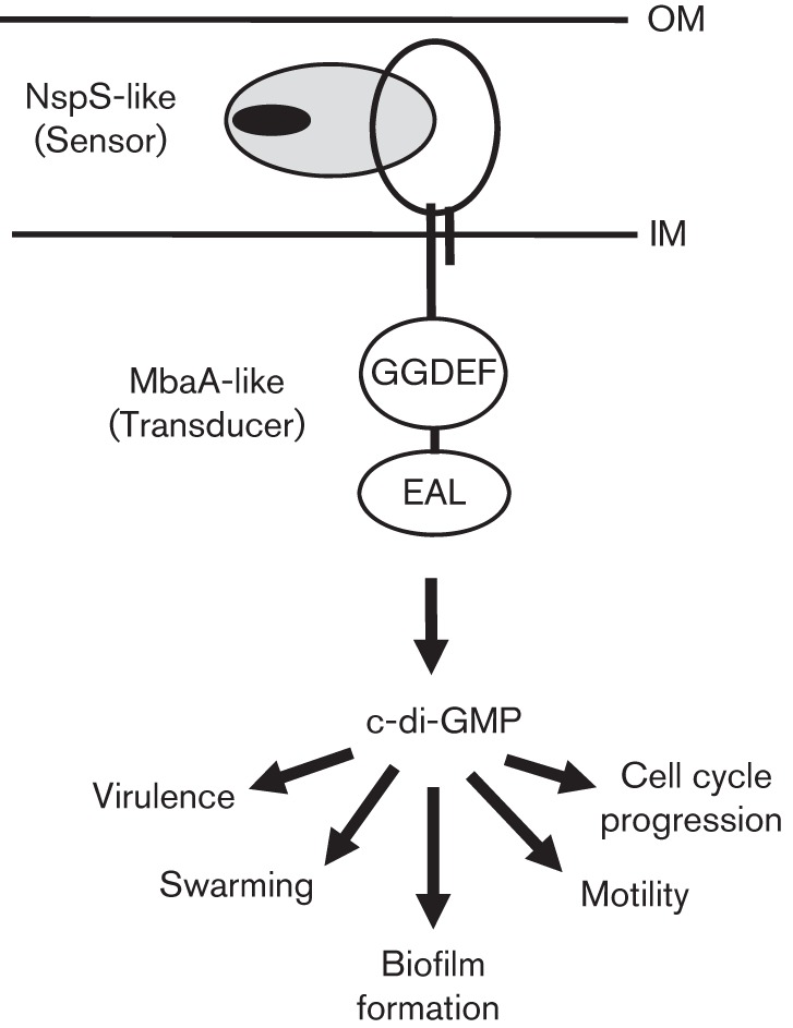 Fig. 6. 