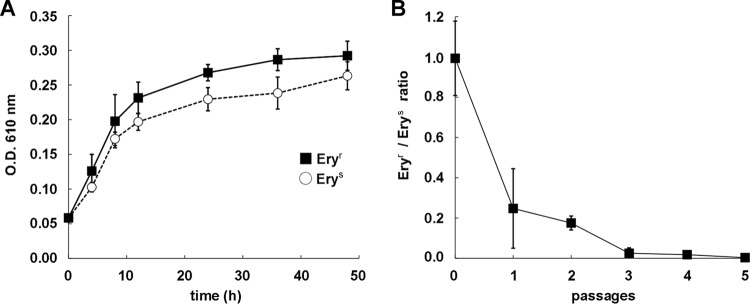 FIG 1