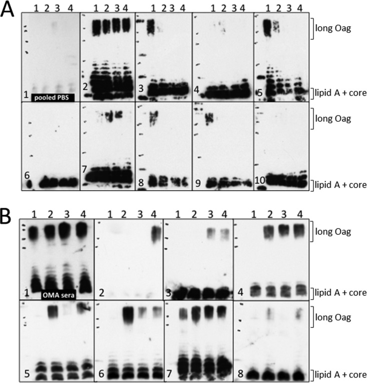 FIG 4