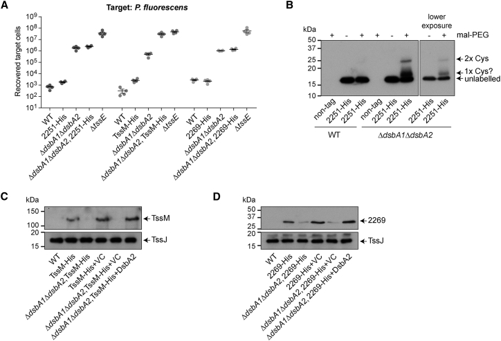 Figure 3