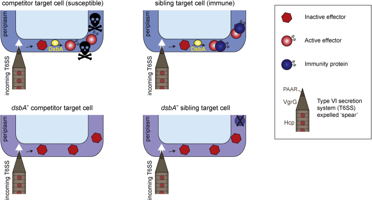 Figure 6