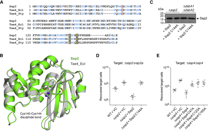 Figure 5