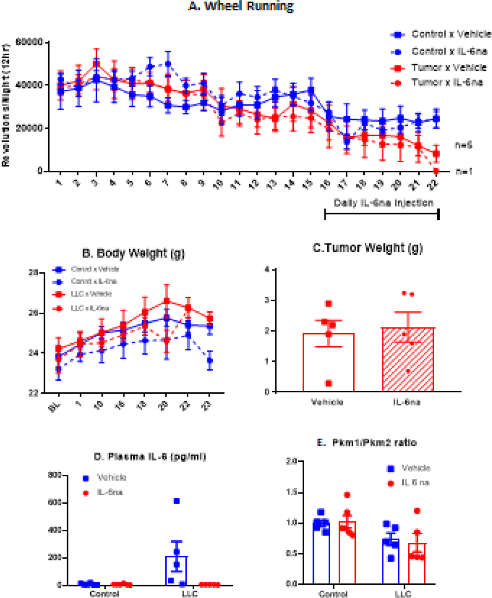 Fig. 1 –