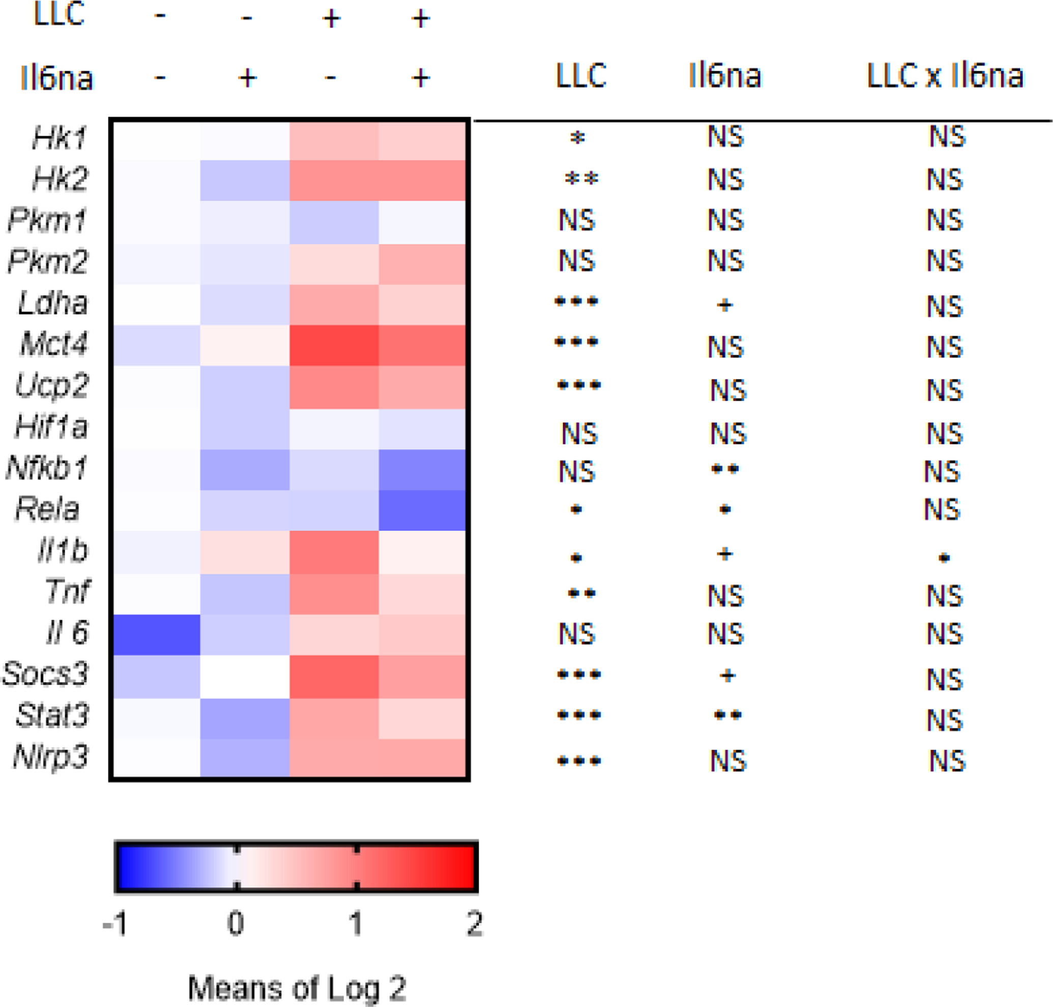 Fig. 2 -