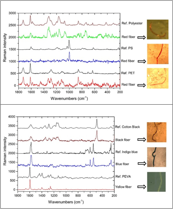 Fig. 8