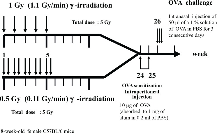 FIG. 5B.