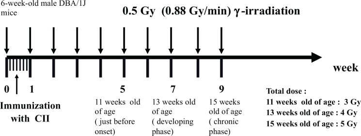 FIG. 1B.