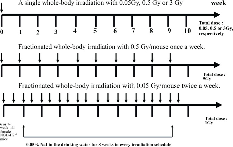 FIG. 6.