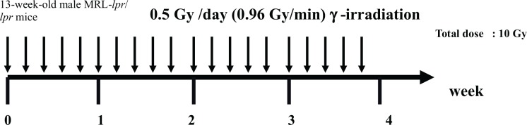 FIG. 2A.