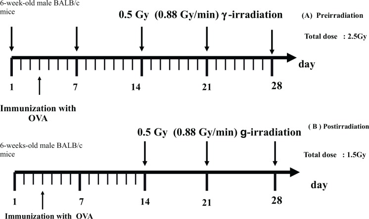 FIG. 1C.