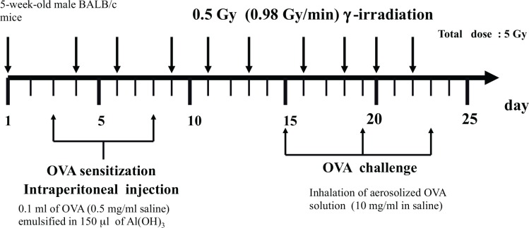 FIG. 5A.