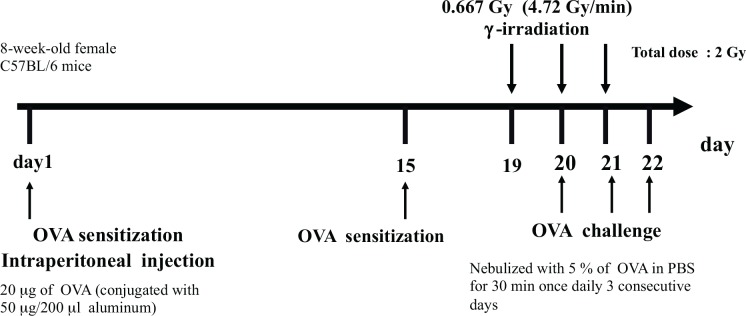 FIG. 7.