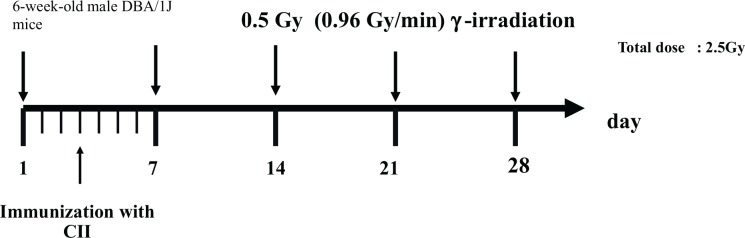 FIG. 1A.