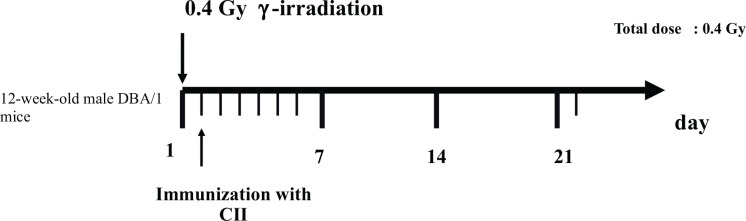 FIG. 1D.