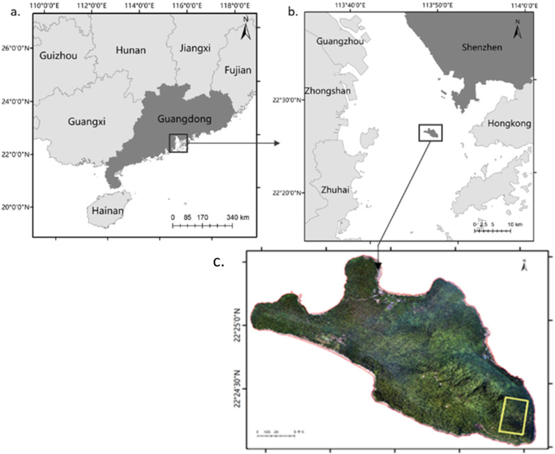 Fig. 1