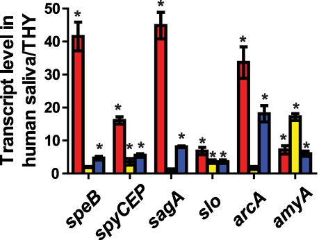 Figure 6