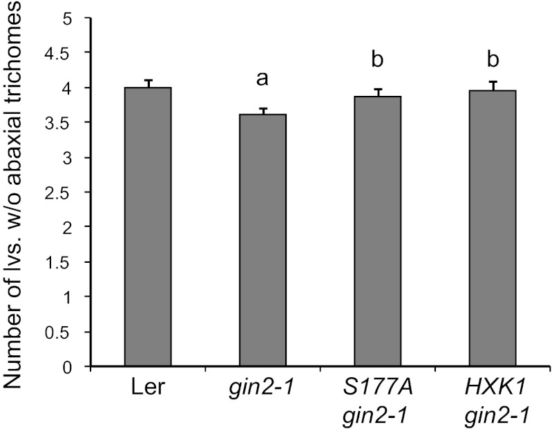 Figure 6—figure supplement 2.