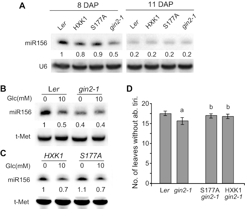 Figure 6.