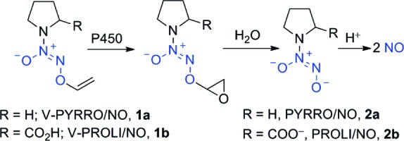 Scheme 1