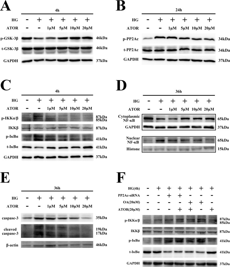 Fig 5