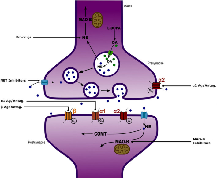 Figure 5